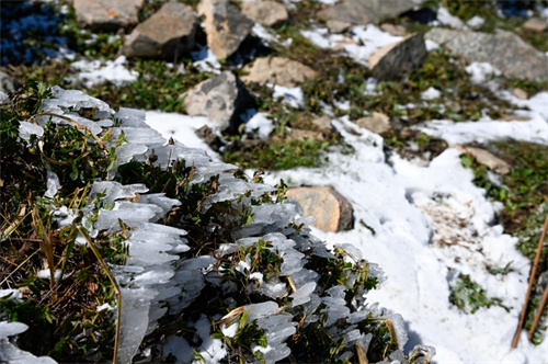 愛丁堡公爵國際獎