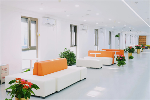 北外同文外國語學校春季0.5項目招生簡章