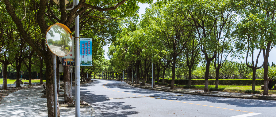 安徽304分左右能上的好大學包括民辦本科學校,具體有山東英才學院、云南經濟管理學院等。安徽304分左右能上的好大學還包括公辦專科學校,具體有扎蘭屯職業學院、宿州職業技術學院等。