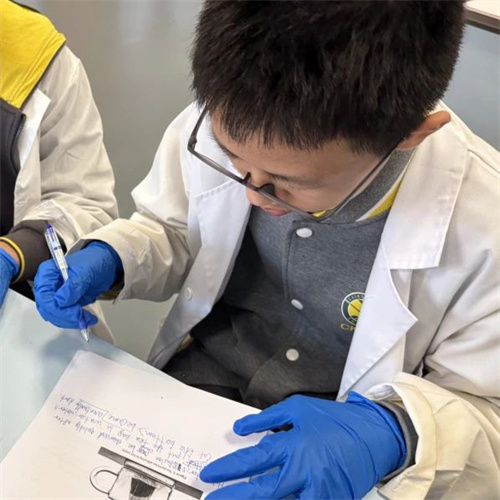 朝陽凱文科創班