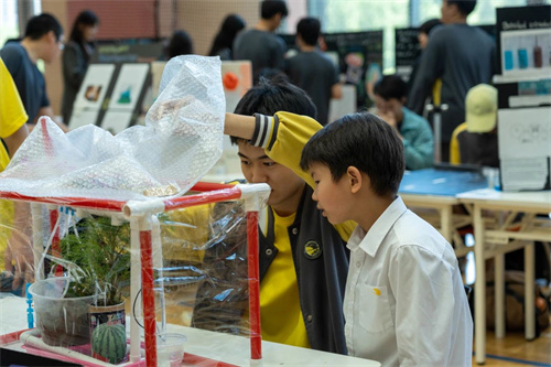 朝陽凱文科創班
