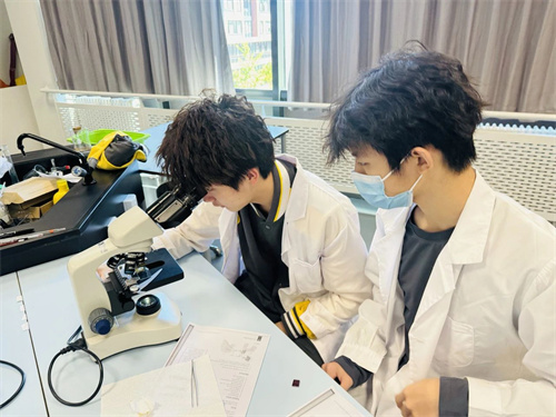 朝陽凱文科創班