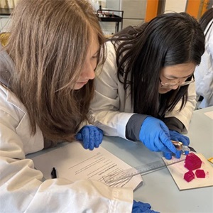 朝陽凱文科創班