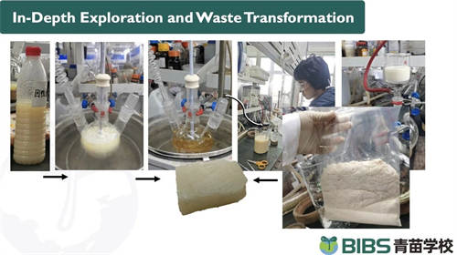 青苗學子參加聯合國氣候大會