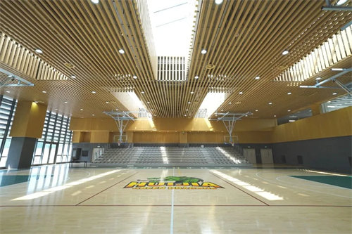 北京私立匯佳學(xué)校小學(xué)探究