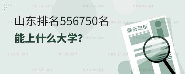 山東高考排名556750名能上什么大學?