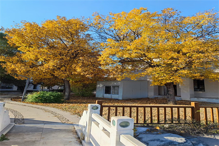 北京東方紅學(xué)校