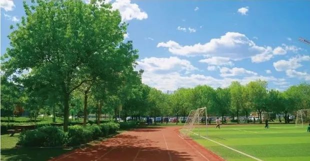 青苗學校海淀校區住宿條件