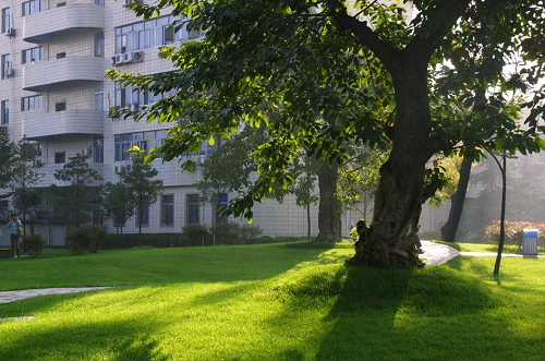 成都10W預算國際學校-電子科技大學國際課程中心