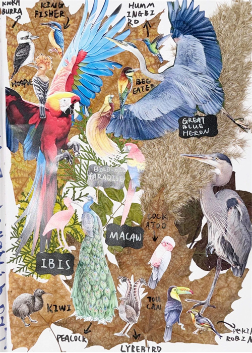 天津法拉古特學(xué)校A-Level兩年制藝術(shù)班招生簡(jiǎn)章