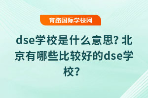 dseWУʲô˼Щ^õdseWУ