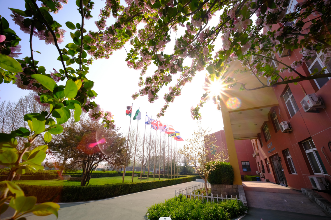 北京市通州區私立樹人學校地址