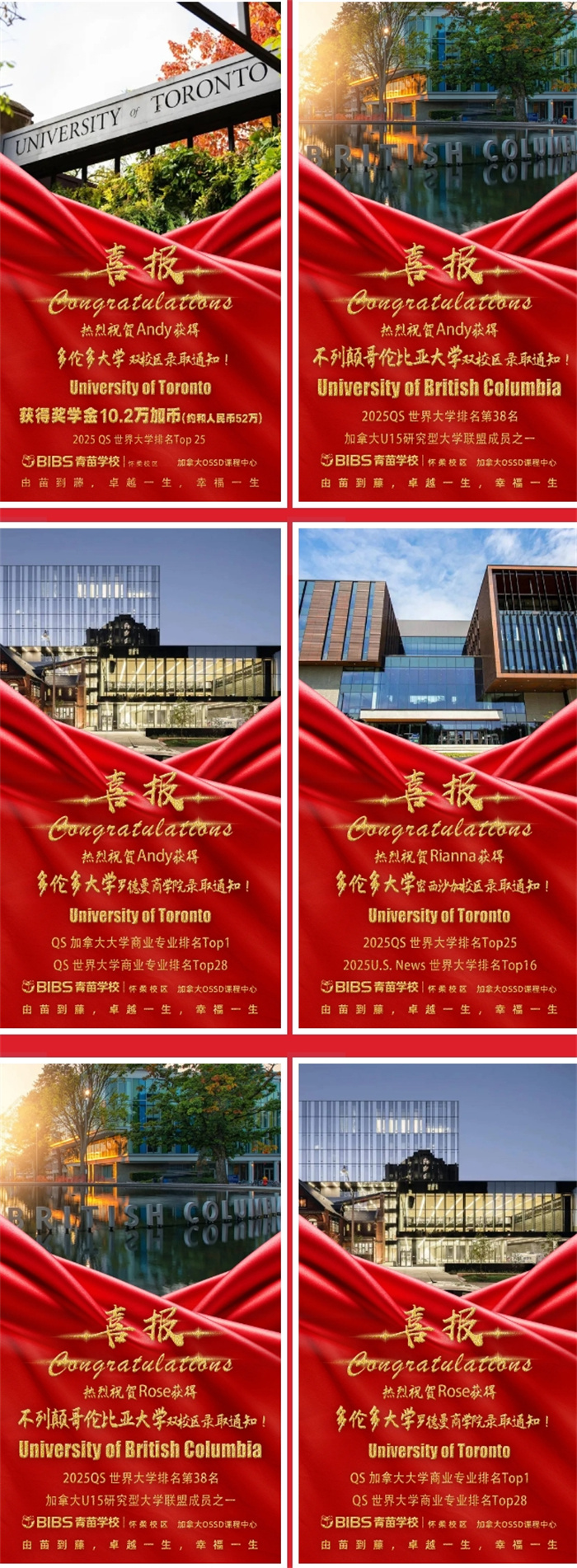 青苗中加國際部錄取喜報