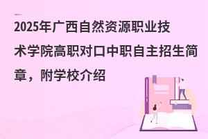 2025VȻYԴIgWԺWУB