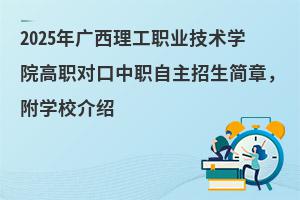 2025VIgWԺWУB