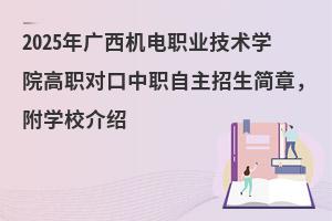 2025VCIgWԺWУB