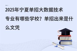 2025年寧夏單招大數據技術專業有哪些學校?單招出來是什么文憑