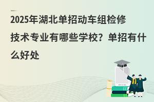 2025Є܇Mz޼g(sh)I(y)ЩWУʲô̎