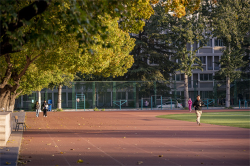 北外ICC和領科國際高中怎么選