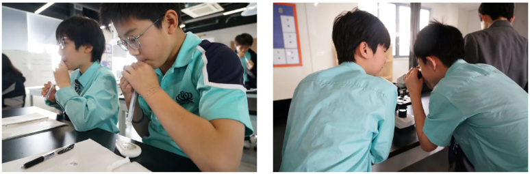 諾德安達學校小升初