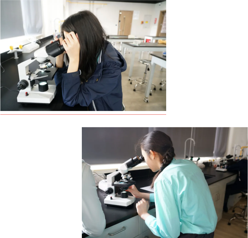 諾德安達學校小升初