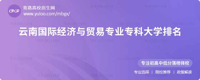 云南國際經濟與貿易專業專科院校排名