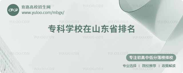 專科學(xué)校在山東省排名