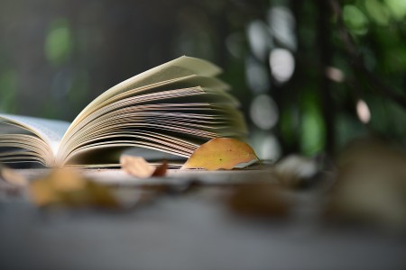 北京懷柔區(qū)義務(wù)教育非北京戶籍入學(xué)材料審核標(biāo)準(zhǔn)