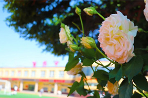 喜報！三河市燕橋學校高一年級聯考取得佳績！