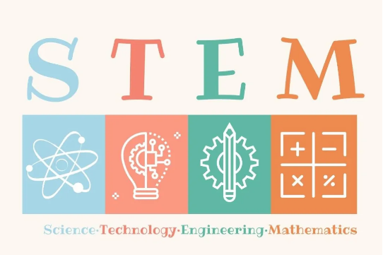 匯佳小學部科學競賽