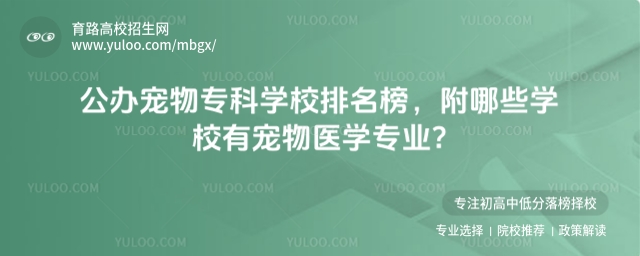 公辦寵物專科學校排名榜,附哪些學校有寵物醫學專業
