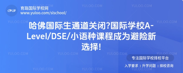 HͨP]HWУA-Level/DSE/СZNn̳ɞUx