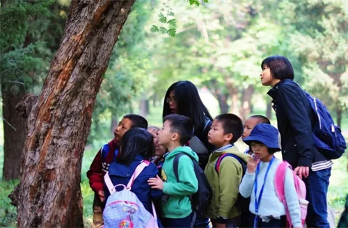 北京一土致知學(xué)校轉(zhuǎn)學(xué)生