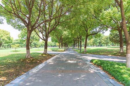 ƌW(xu)vkW(xu)Tʿ(xing)Ŀ