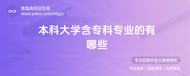 2025年本科大學含專科專業的有哪些?附完整名單