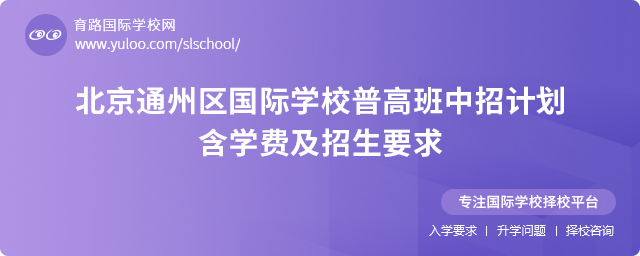 2025年北京通州區(qū)國際學校普高班中招計劃
