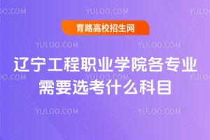 |I(y)W(xu)ԺI(y)ҪxʲôĿI(y)M(fi)(bio)(zhn)