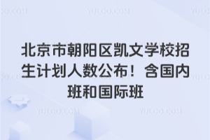 2025年北京市朝陽區凱文學校招生計劃人數公布!含國內班和國際班