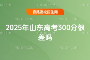 2025ɽ|߿300Ĳ᣿W;Ȼ