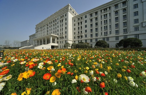 電子科技大學國際課程中心