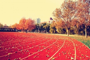 天津泰達楓葉國際學校