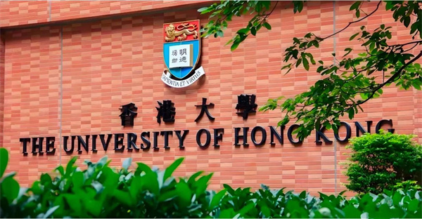 DSE憑什么成為中產家庭逆襲名校的“黃金密碼”