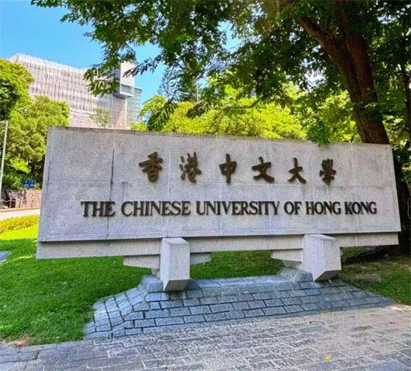 DSE憑什么成為中產家庭逆襲名校的“黃金密碼”