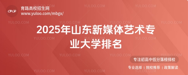 2025山東新媒體藝術專業大學排名