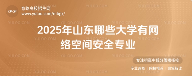 2025年山東哪些大學有網絡空間安全專業?