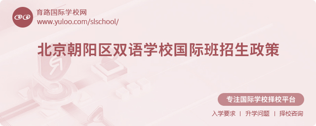 2025年北京朝陽區雙語學校國際班招生政策
