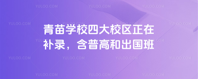 青苗學校四大校區正在補錄,含普高和出國班