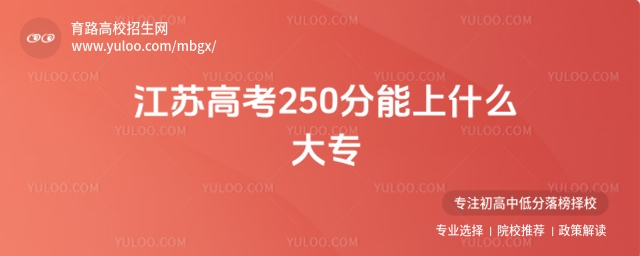 2025年江蘇高考250分能上什么大專?