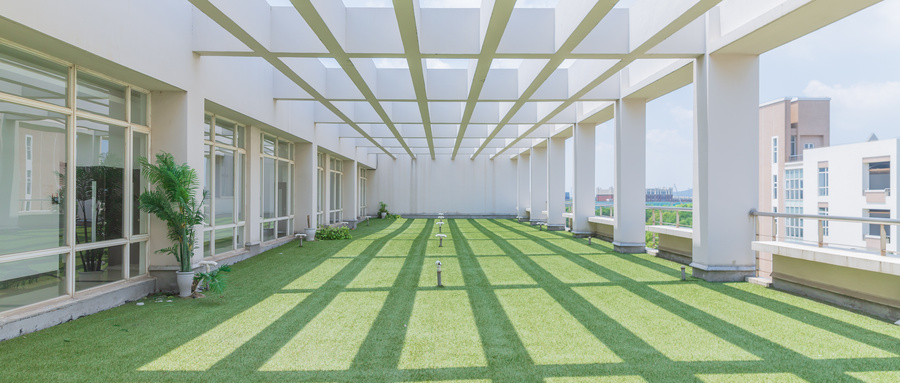 2025年江蘇高考250分能上什么大專?