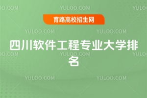 2025四川軟件工程專業大學排名